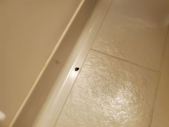 龜之井飯店田澤湖優惠