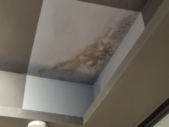 Lazybee懶蜂窩國際青年旅舍（瀋陽彩塔夜市店）優惠