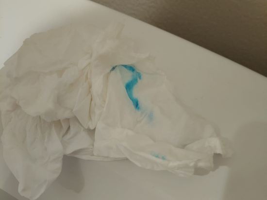 東京豐洲日航城市酒店優惠