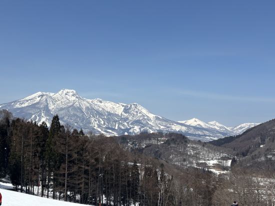 ホテルタングラム クーポン