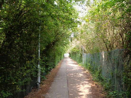 智選假日劍橋酒店優惠