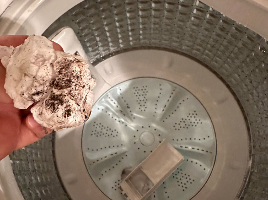 Rakuten STAY HOUSE x WILLSTYLE 佐世保 クーポン