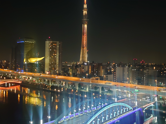 ホテルウィングインターナショナルセレクト浅草駒形 クーポン