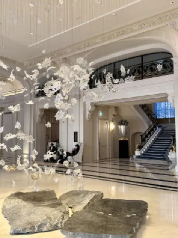 The Peninsula Paris Espaces publics Photos