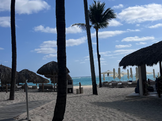 加勒比豪華公主海灘度假全包酒店優惠