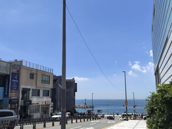 Busan 369 쿠폰