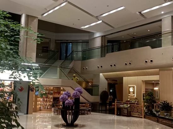 杭州蕭山國際機場雷迪森飯店優惠