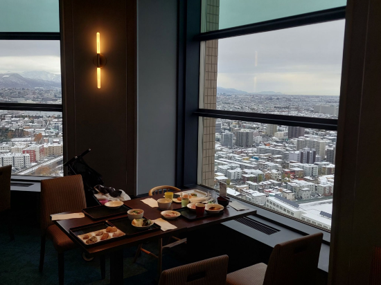 札幌艾米西亞飯店優惠