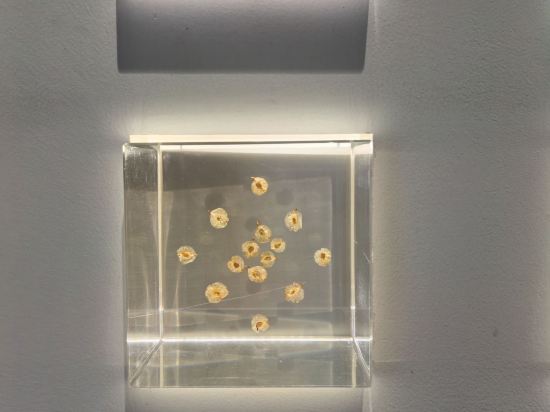 杭州未來科技城盈陽君亭酒店優惠