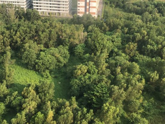 賽城羅望子套房酒店優惠