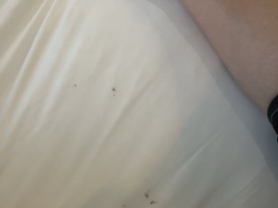 墾丁庫房301旅店優惠
