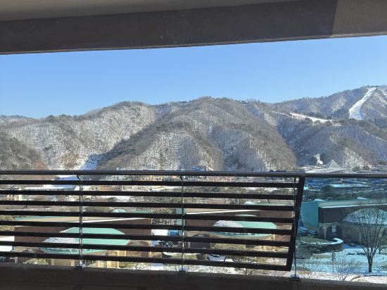 소노펠리체 비발디파크 쿠폰