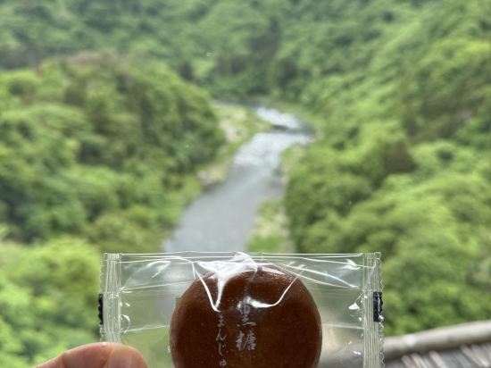 蘆之牧溫泉丸峰日式飯店本館優惠