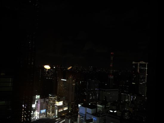 THE 皇家花園 ICONIC飯店 東京汐留優惠
