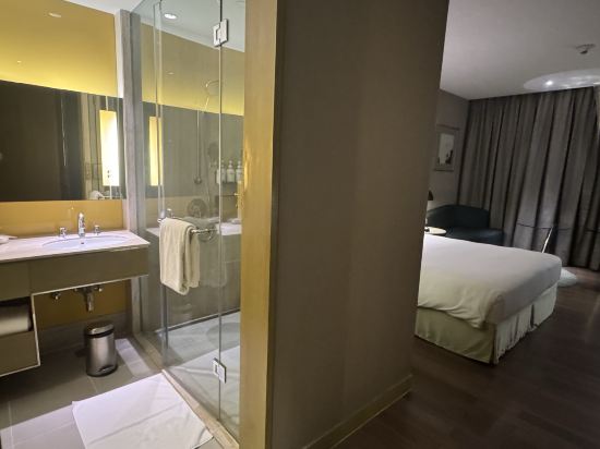 新德里國際機場假日旅館優惠