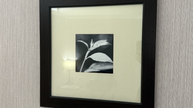 review picture