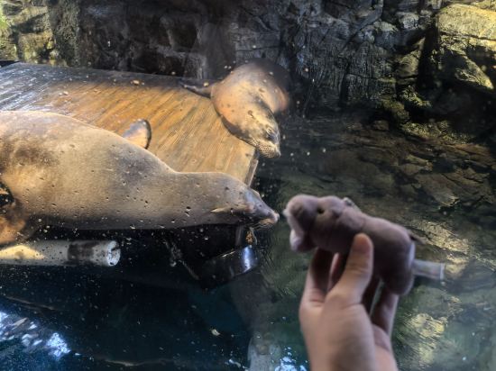 JR西日本グループ ヴィアイン大阪京橋 クーポン