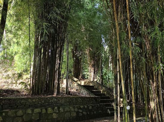 巴塔姆海景假日酒店優惠
