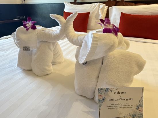 清邁羅伊飯店優惠