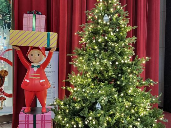 明洞鎮24號旅館優惠