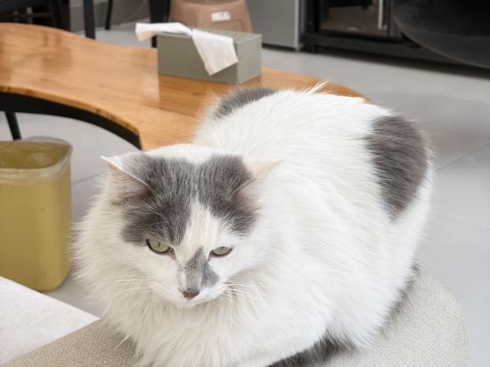 撫雲·供氧輕奢美宿（麗江古城大水車店）優惠