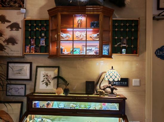 神祕圖鑒·SecretLand飯店（中山路步行街輪渡碼頭店）優惠