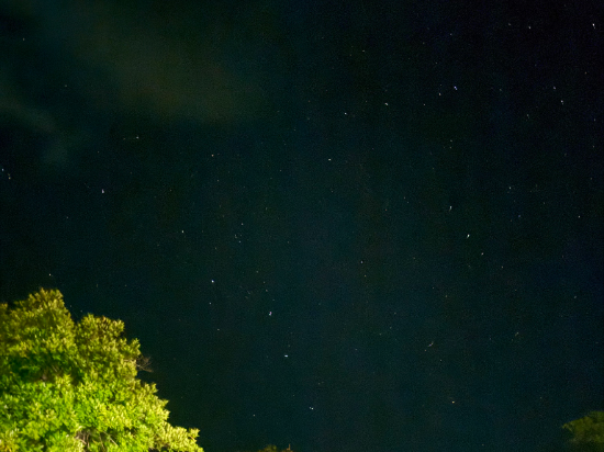 西表島ジャングルホテルパイヌマヤ クーポン