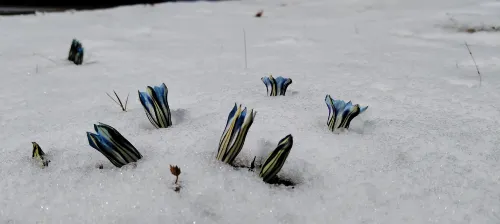 Yongxinde Shangjing Hotel Photos