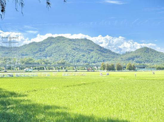 格林豪泰商務酒店（中山南朗輕軌站店）優惠