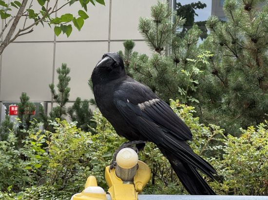 札幌ワシントンホテルプラザ クーポン