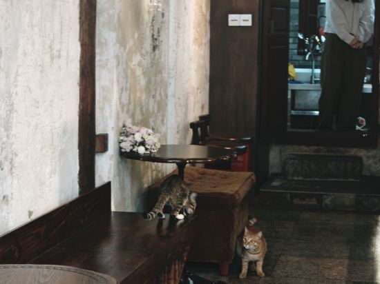 如家派柏·雲飯店（六一中路店）優惠