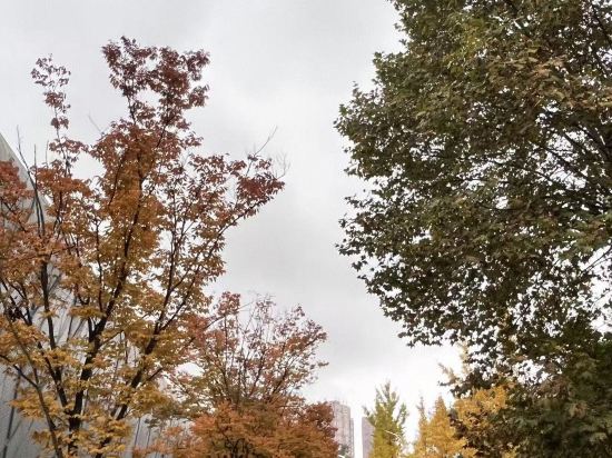 宜尚酒店（貴陽高鐵北站店）優惠