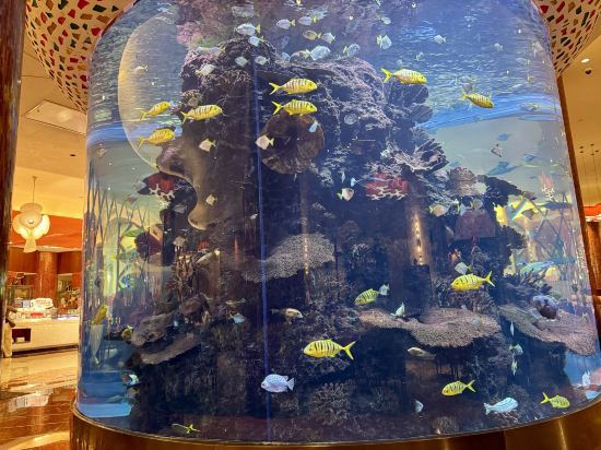 長隆橫琴灣酒店（珠海長隆旗艦店）優惠