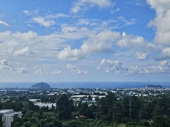 제주 벨룸리조트 쿠폰