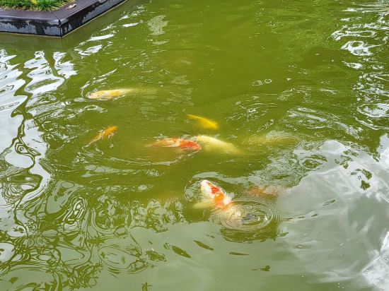 中山温泉賓館優惠