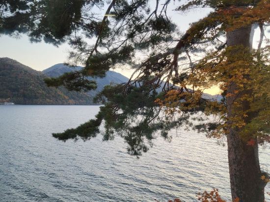 湖上苑飯店優惠