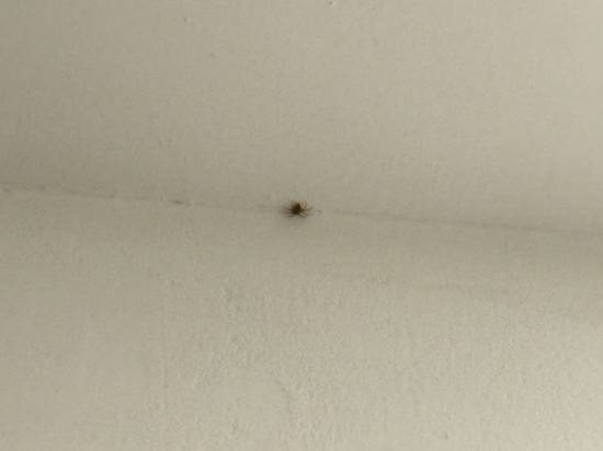 雀客快捷台北永康優惠