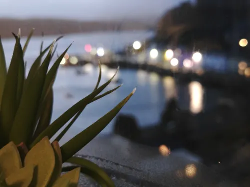 Bosville Hotel Photos