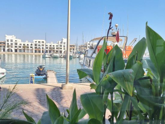 阿加迪爾歐米茄酒店優惠