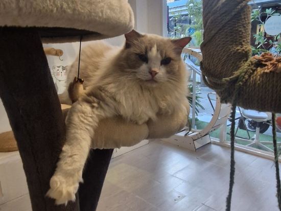 選擇你·設計師飯店優惠