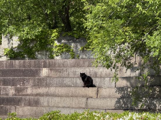 ホテルマイステイズ大手前 クーポン