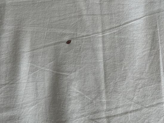 北京雅居公寓優惠