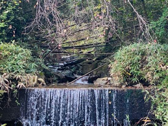 布耶那彼斯特飯店優惠