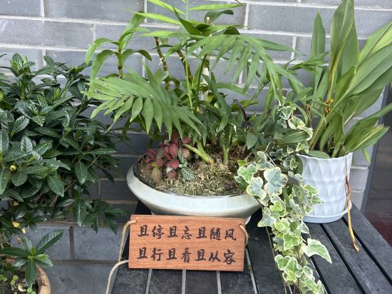 北京天倫松鶴大飯店優惠