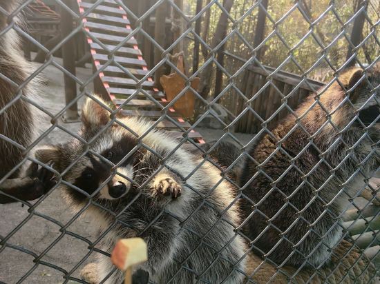 南京紫清湖温泉度假酒店優惠