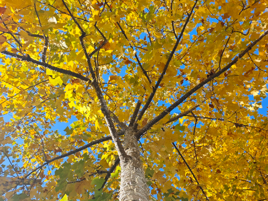 長興開元名都大酒店優惠