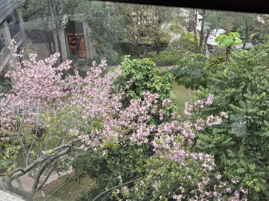 清遠芊麗酒店優惠