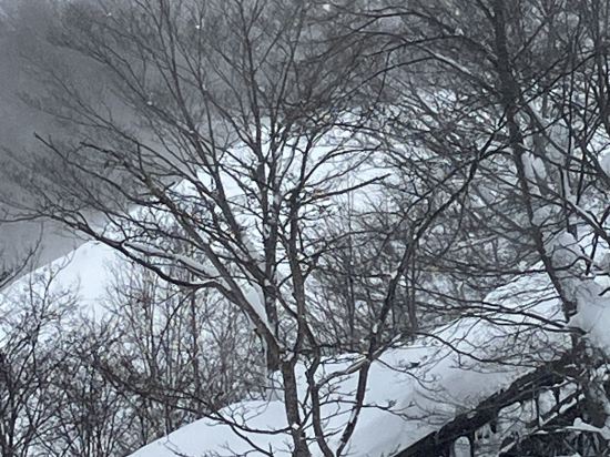 休暇村岩手網張温泉 クーポン