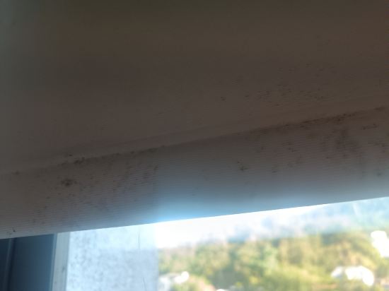 南投日月潭潭暉時尚風華旅店優惠