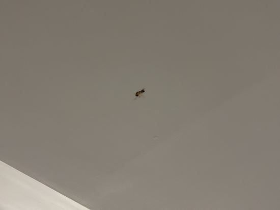 墾丁泊途會館優惠